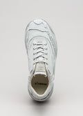 light grey premium canvas sneakers landscape with sophisticated silhouette topview
