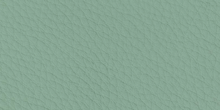 Textured Pastel Green - Floater Material Color background with subtle shadows and light creases.