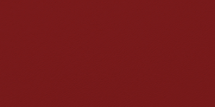 Solid red textured background with a subtle rough Red Wine - Leather Material Color for Custom Shoes appearance.