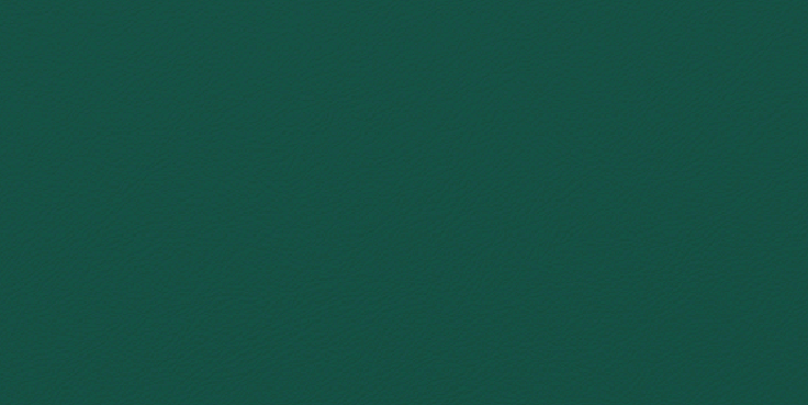A plain emerald green textured background.