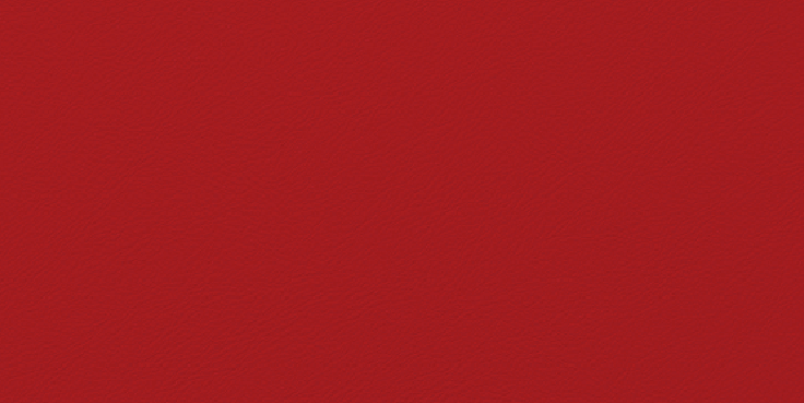 A red Leather Material Color surface with small lines.