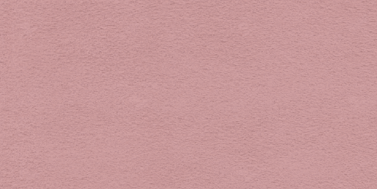 Textured Powder Pink suede wall surface with a rough stucco finish.